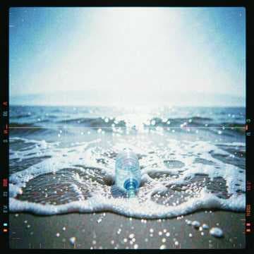 Ocean Mind